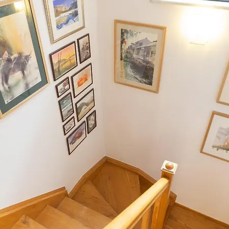 Daire Monicasa Szczesliwice *